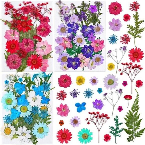 100Pcs Dried Pressed Flowers for Resin Crafts, Small Dried Flower Natural Herbs - Picture 8 of 8